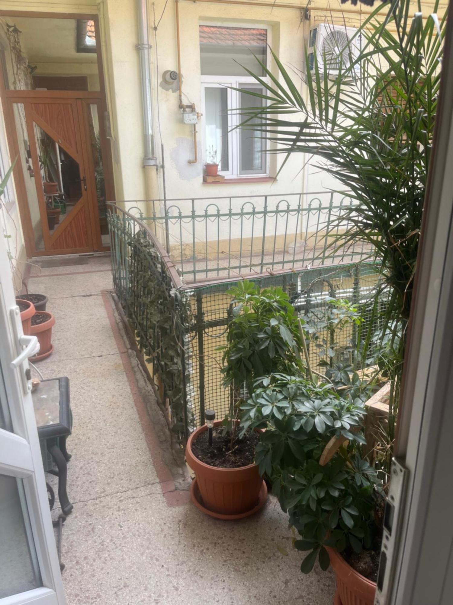 Sia'S Home Oradea Luaran gambar